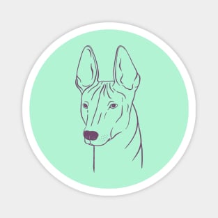 Xoloitzcuintli (Mint and Mauve) Magnet